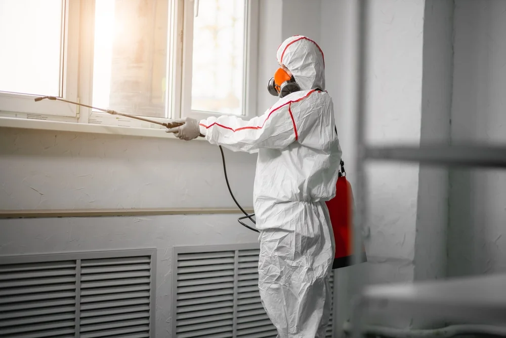 Professional mold remediation services in Delaware, NJ